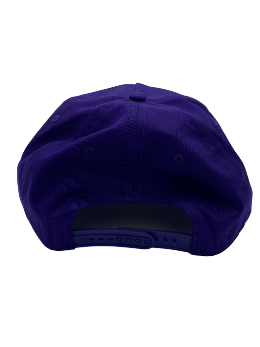 47 Brand Snapback Hat OSFM / Purple Clemson Tigers '47 Crosstown Script Hitch Purple Adjustable Snapback Hat
