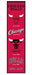 Winning Streak Sports Banners One Size / Red Chicago Bulls WinCraft 8'' x 32'' Evolution Banner