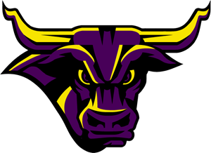 Minnesota State Mavericks