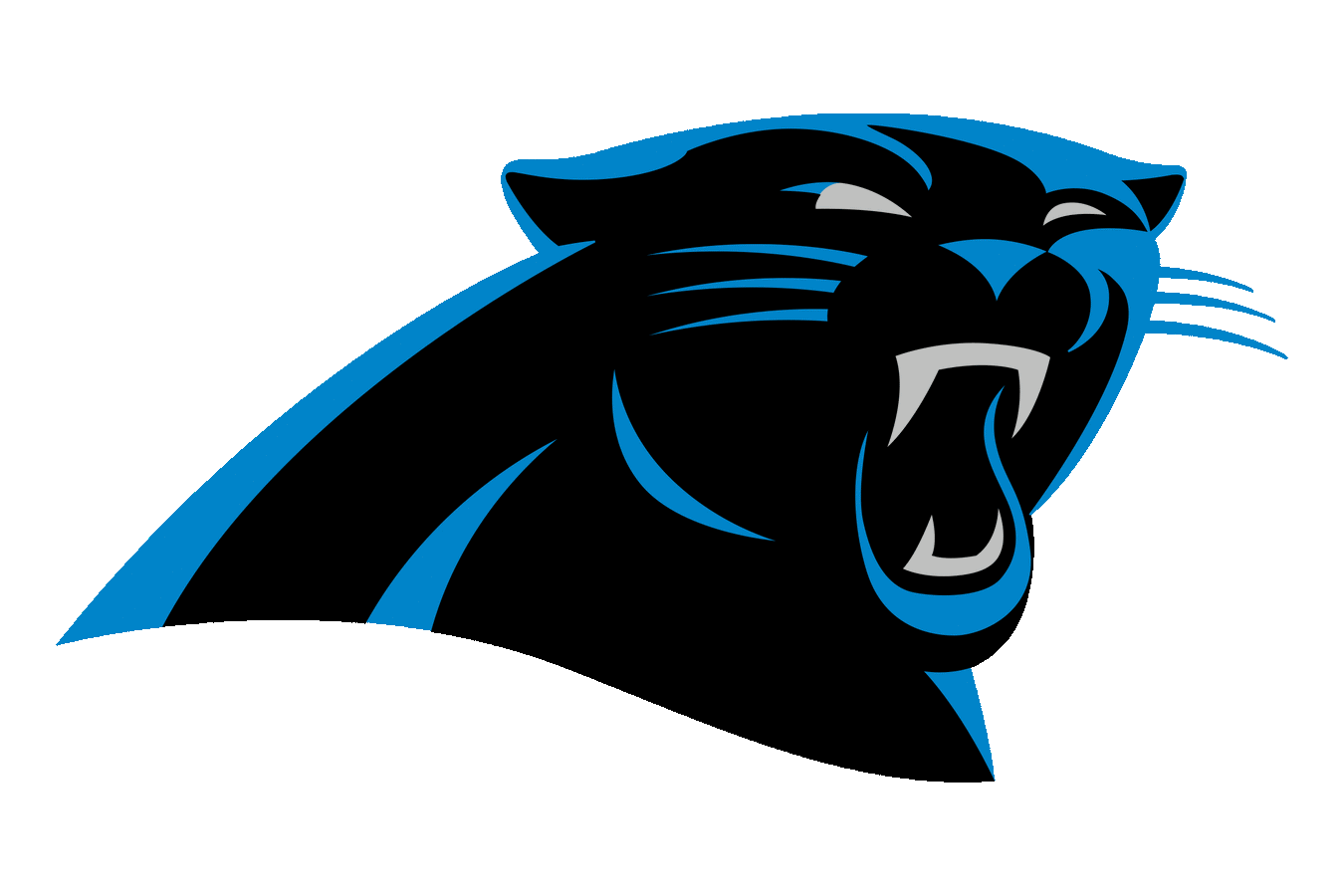 Carolina Panthers