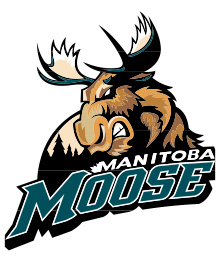 Manitoba Moose