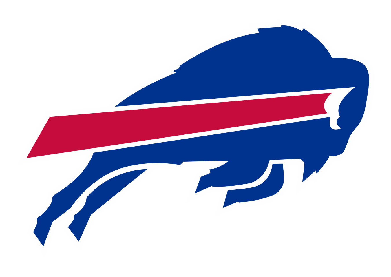 Buffalo Bills