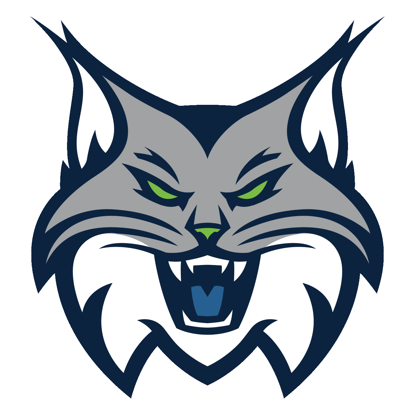 Minnesota Lynx