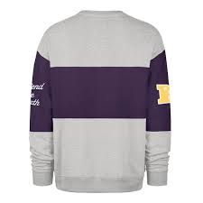 47 Brand Shirts Adult Minnesota Vikings regent purple blockfield maximalist crew