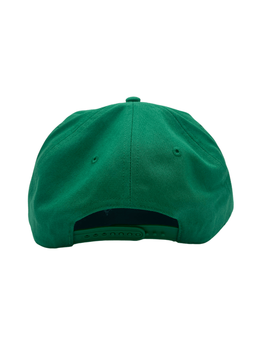 47 Brand Snapback Hat OSFM / Green Hartford Whalers '47 Crosstown Script Hitch Green Adjustable Snapback Hat