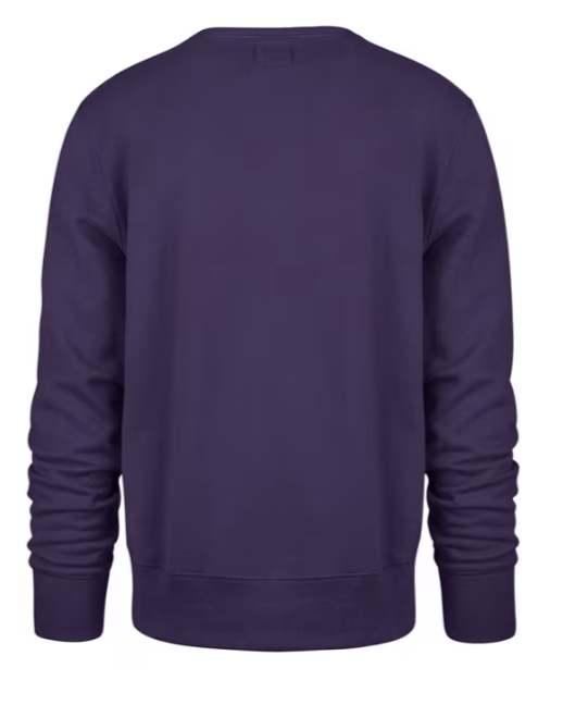 47 Brand Sweatshirts Adult Minnesota Vikings '47 Purple Brush by Headline Crew Sweatshirt - Men's