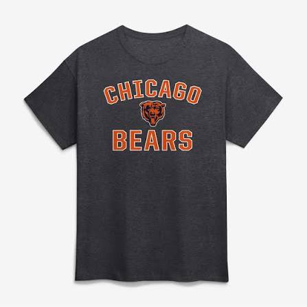 Fanatics Shirts Chicago Bears Fanatics Branded Black Team Victory Arch T-Shirt