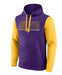 Fanatics Sweatshirts Adult Minnesota Vikings Fanatics Purple/Gold Outline Cotton Fleece Hooded Sweatshirt - Men's