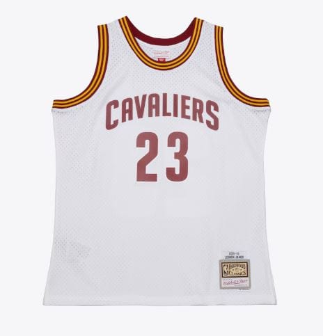 lebron james adult jersey