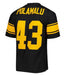 Adult Troy Polamalu Pittsburgh Steelers Mitchell & Ness NFL 2008 Black Alternate Throwback Jersey - Men's