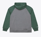 Mitchell & Ness Sweatshirts Adult Green Bay Packers Mitchell & Ness Gray Winning Streak Fleece Hooded Sweatshirt - Men's
