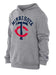 New Era Sweatshirts Adult Minnesota Twins New Era Gray Big Logo Hooded Sweatshirt - Men's