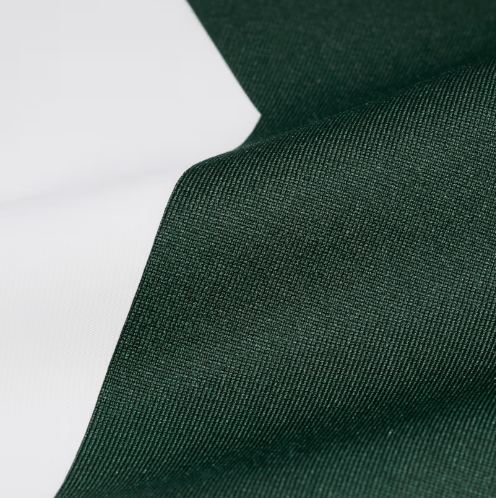 Adult Micah Parsons Green Bay Packers Nike Green Game Jersey - Men's