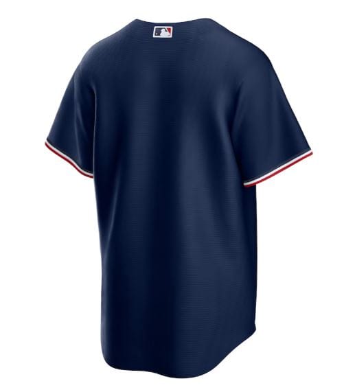 Adult Minnesota Twins Nike Navy Alternate Limited Blank Jersey - Men's