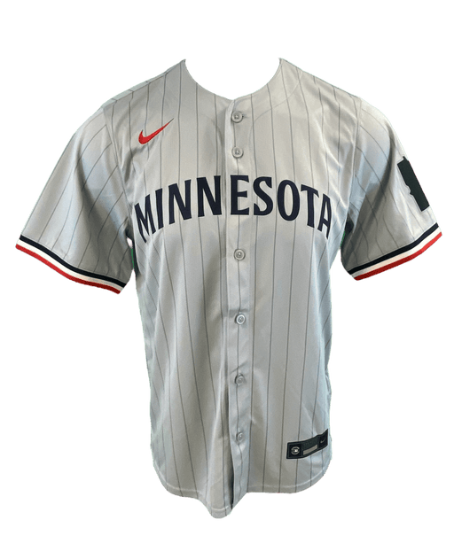 Adult Pablo Lopez Minnesota Twins Nike Gray Away Limited Player Jersey