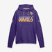 Nike Sweatshirts Men's Nike Purple Minnesota Vikings Sideline Standard Issue Top Prospect Dri-FIT Hoodie