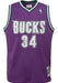 Outerstuff Youth Jersey NBA Youth Ray Allen Milwaukee Bucks 2000 Mitchell & Ness Purple NBA Throwback Jersey - Unisex