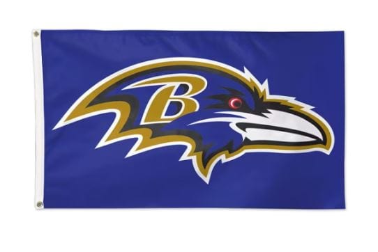 WinCraft Novelty 3x5 / Purple All Ages Baltimore Ravens WinCraft 3' x 5' Single-Sided Flag - Unisex