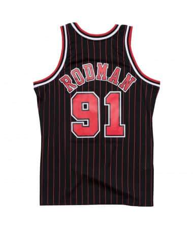 Framed Dennis Rodman Chicago Bulls Autographed Black and Red Pinstripe  Mitchell & Ness Replica Jersey