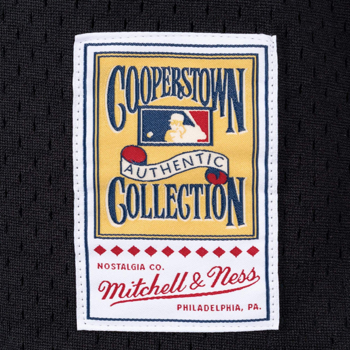 Mitchell & Ness Men's Wade Boggs Tampa Bay Rays Authentic Mesh Batting  Practice V-Neck Jersey - Macy's