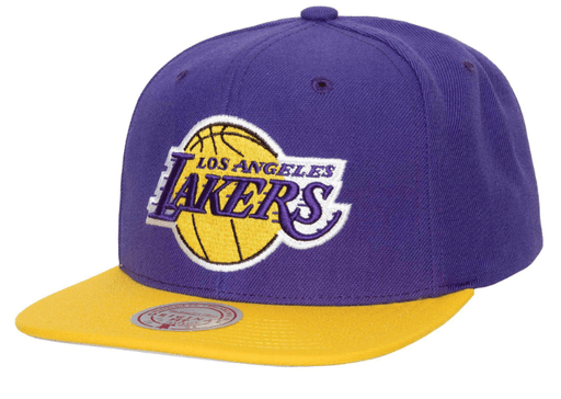 Mitchell & Ness Hats OSFM / Purple Men's Los Angeles Lakers Mitchell & Ness Purple Hardwood Classics Team Ground 2.0 Snapback Hat