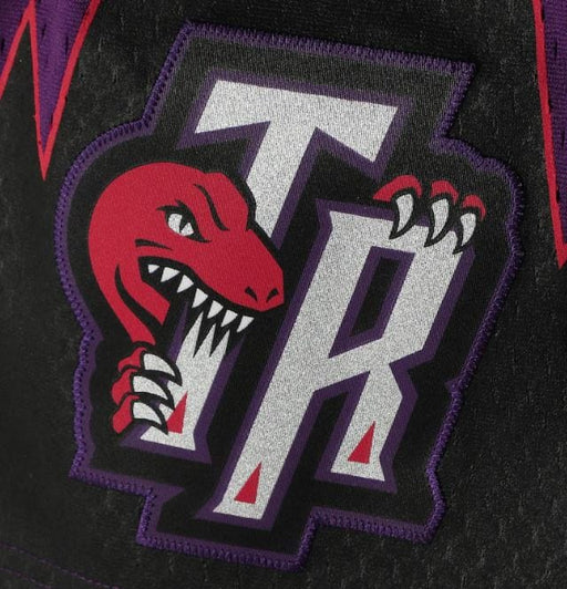 Vintage Toronto Raptors Raven Athletic Baseball Jersey Size Large Purple 90s NBA