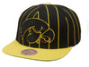 Mitchell & Ness Snapback Hat OSFM / Black Iowa Hawkeyes Mitchell & Ness Black Team Pinstripe Adjustable Snapback Hat