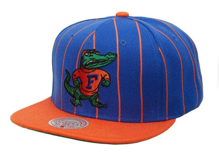 Mitchell & Ness Royal Florida Gators Team Pinstripe Snapback Hat