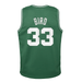 Youth Larry Bird Boston Celtics Mitchell & Ness NBA Green Throwback Jersey - Unisex