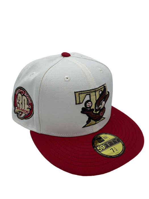 Phoenix Black Velvet Baseball Hat | Men's